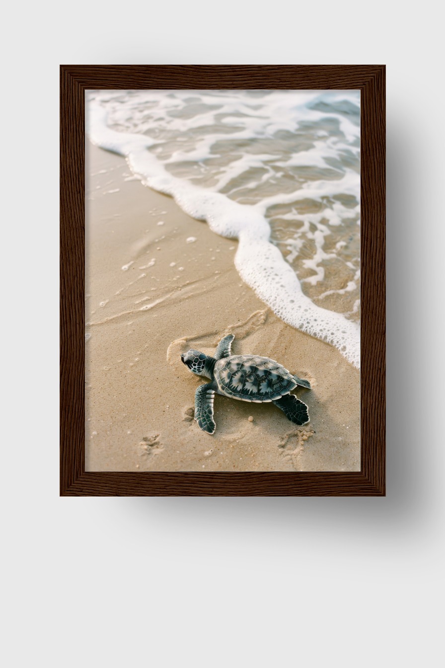 Fotografie Poster Schildkröte am Strand natur sand wasser