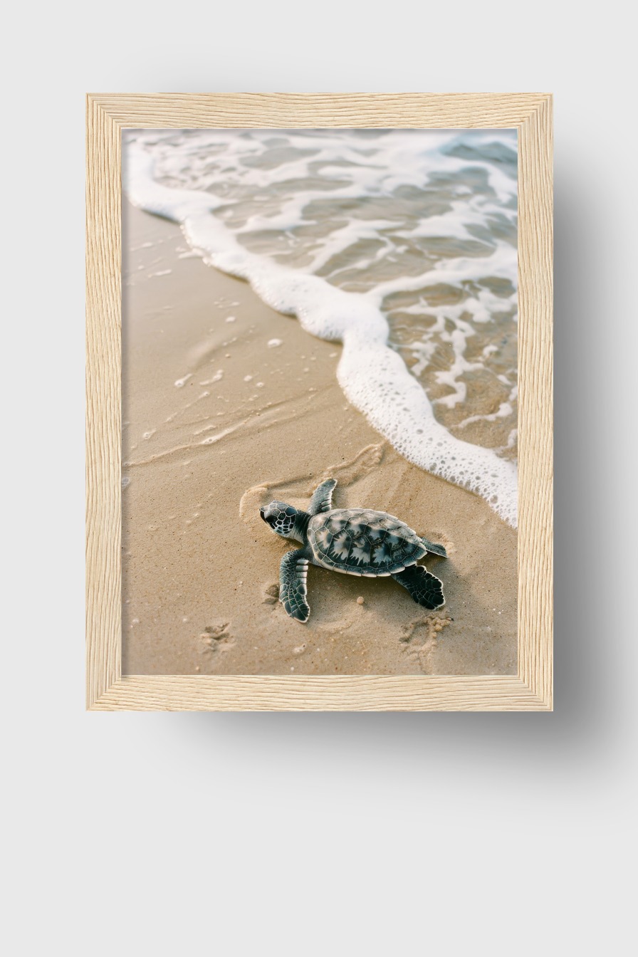 Fotografie Poster Schildkröte am Strand natur sand wasser
