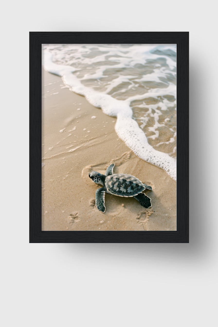 Fotografie Poster Schildkröte am Strand natur sand wasser