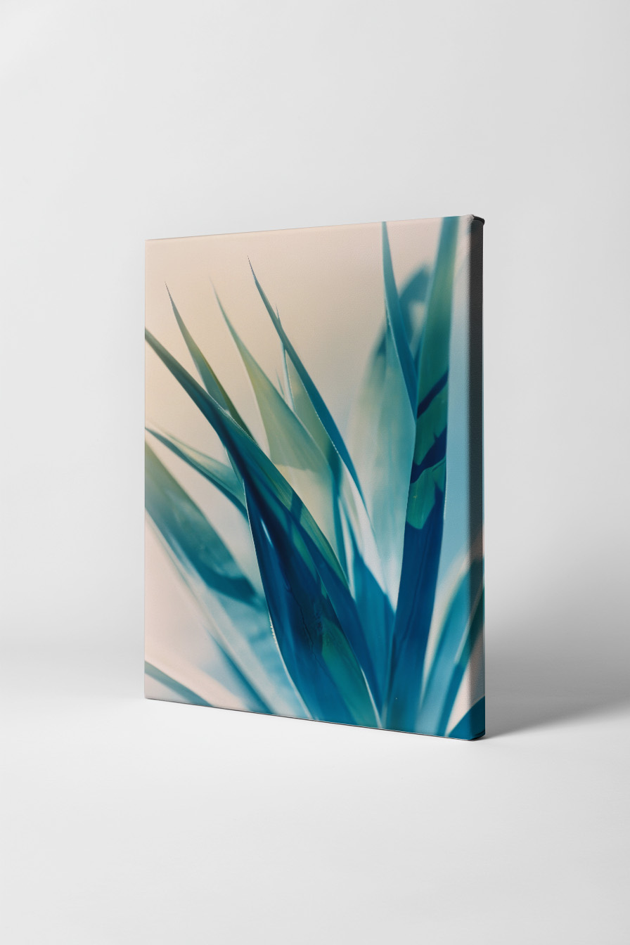 Fotografie Poster Agave Blaue Töne scharfe Spitzen