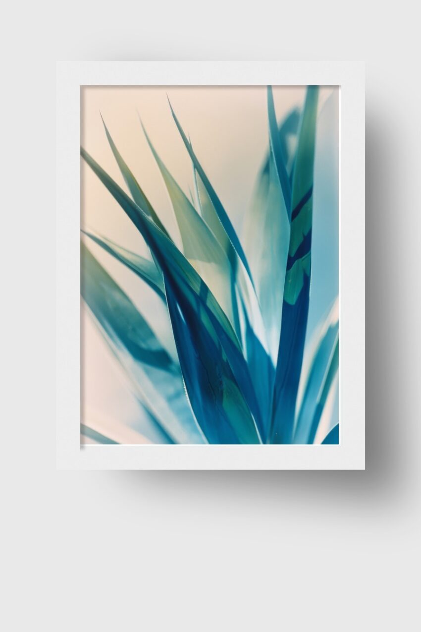 Fotografie Poster Agave Blaue Töne scharfe Spitzen
