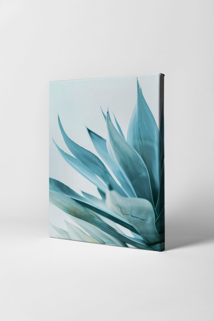 Fotografie Poster Agave Blattspitzen kühl blau grün