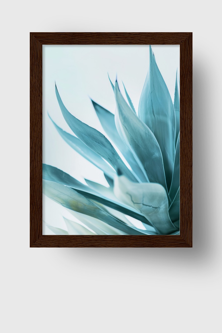 Fotografie Poster Agave Blattspitzen kühl blau grün