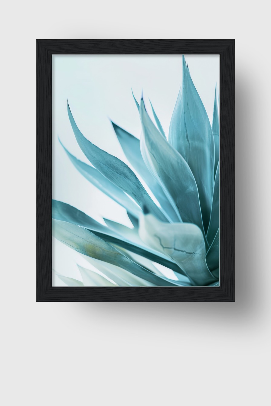 Fotografie Poster Agave Blattspitzen kühl blau grün