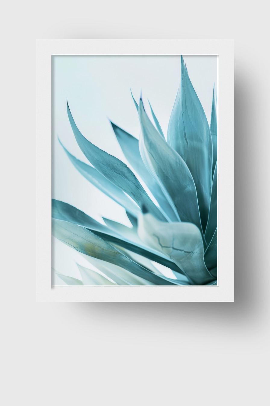 Fotografie Poster Agave Blattspitzen kühl blau grün
