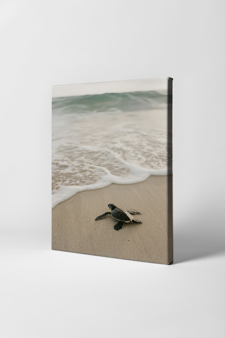 Fotografie Poster Meeresschildkröte Strand bernsteinfarben sand