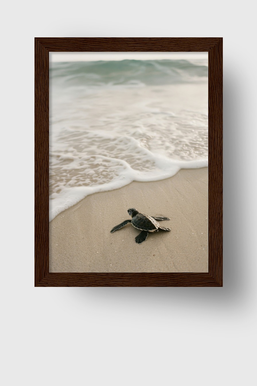 Fotografie Poster Meeresschildkröte Strand bernsteinfarben sand