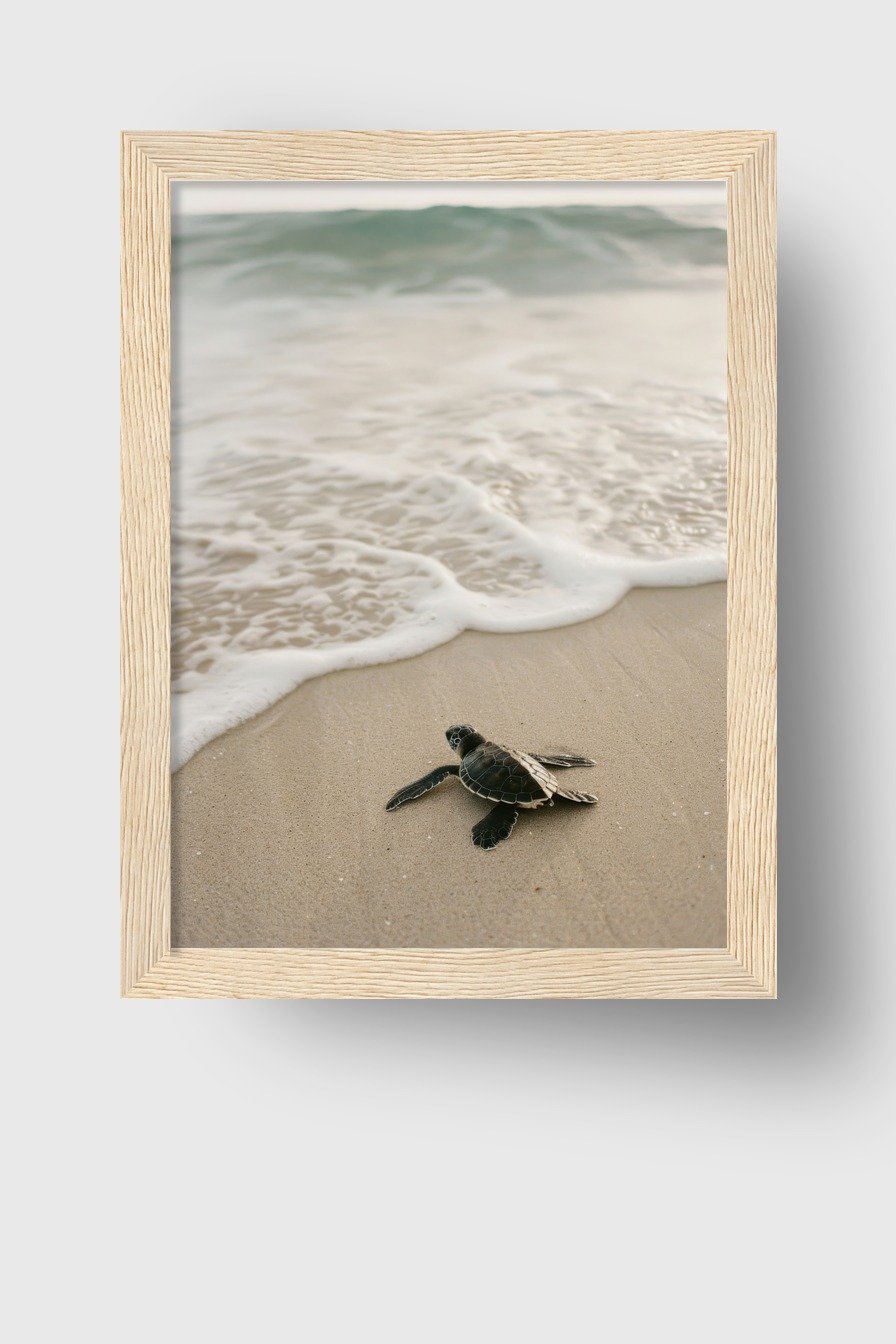 Fotografie Poster Meeresschildkröte Strand bernsteinfarben sand