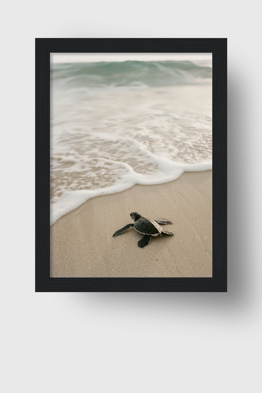Fotografie Poster Meeresschildkröte Strand bernsteinfarben sand