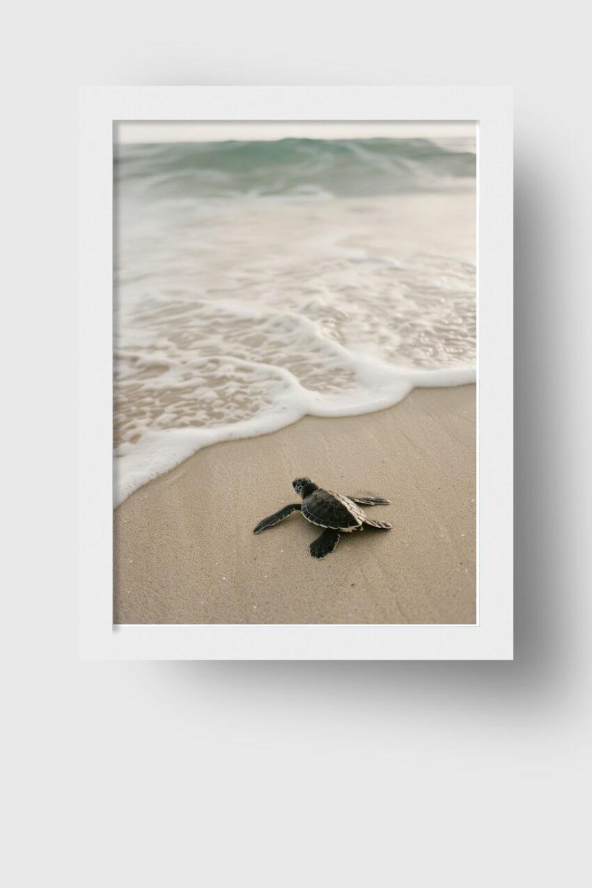 Fotografie Poster Meeresschildkröte Strand bernsteinfarben sand