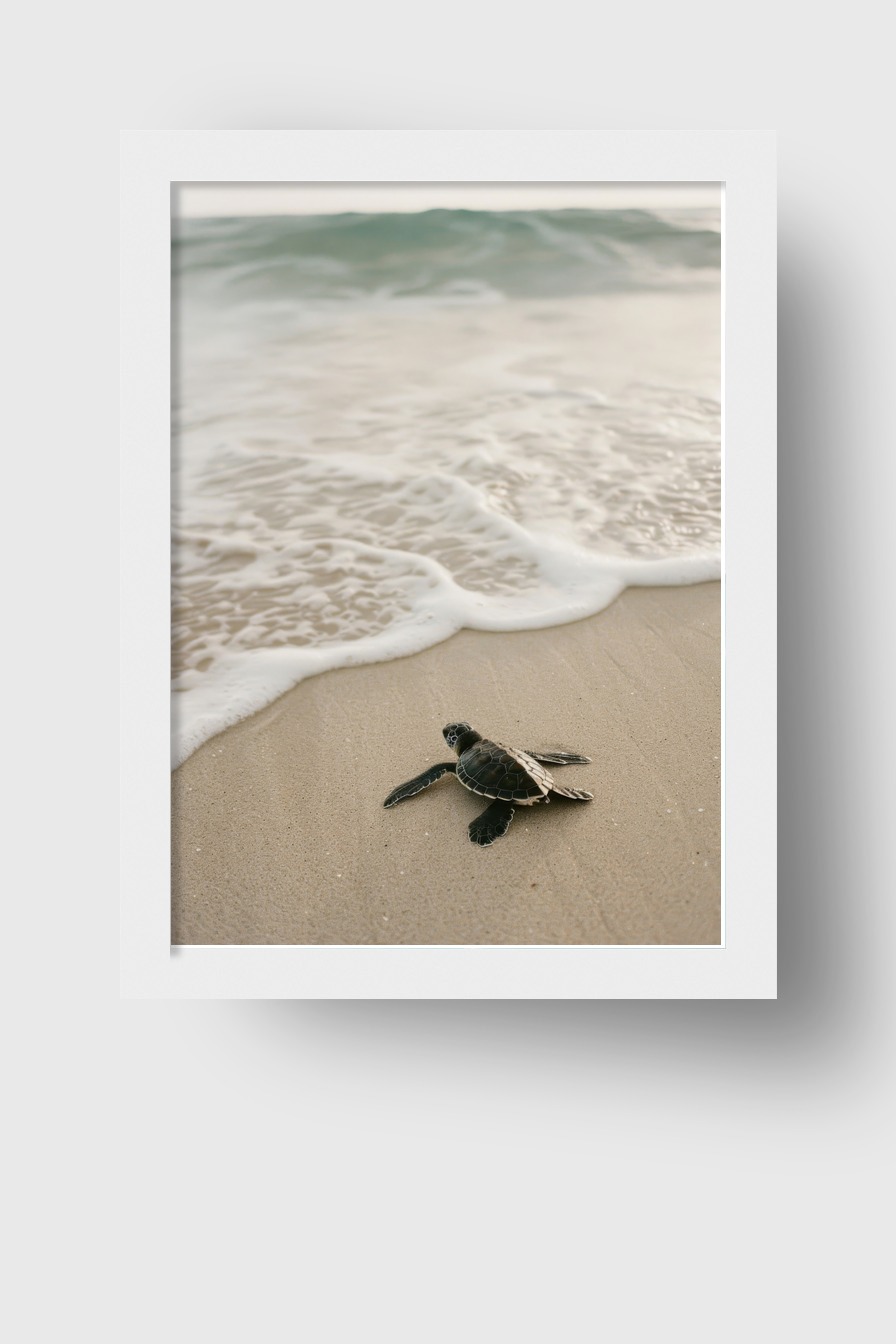 Fotografie Poster Meeresschildkröte Strand bernsteinfarben sand