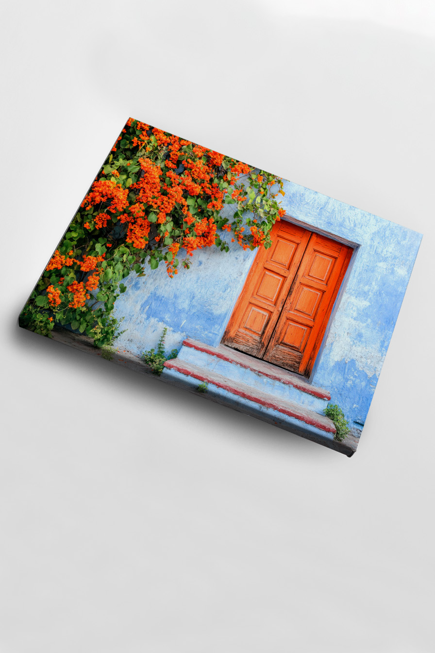 Fotografie Poster Tür Oranger Blumen Kontrast Blau