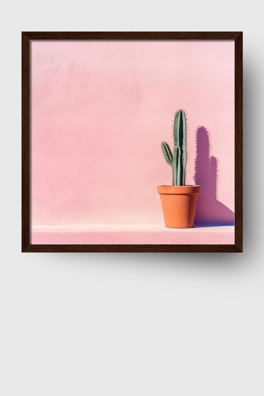 Fotografie Poster Kaktus minimalistisch grün rosa
