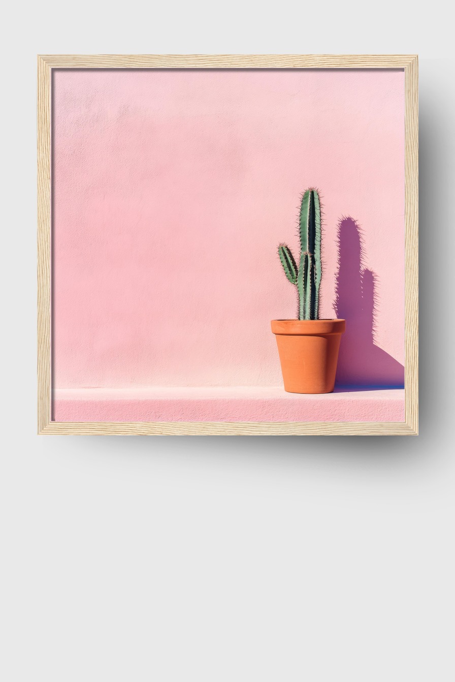 Fotografie Poster Kaktus minimalistisch grün rosa