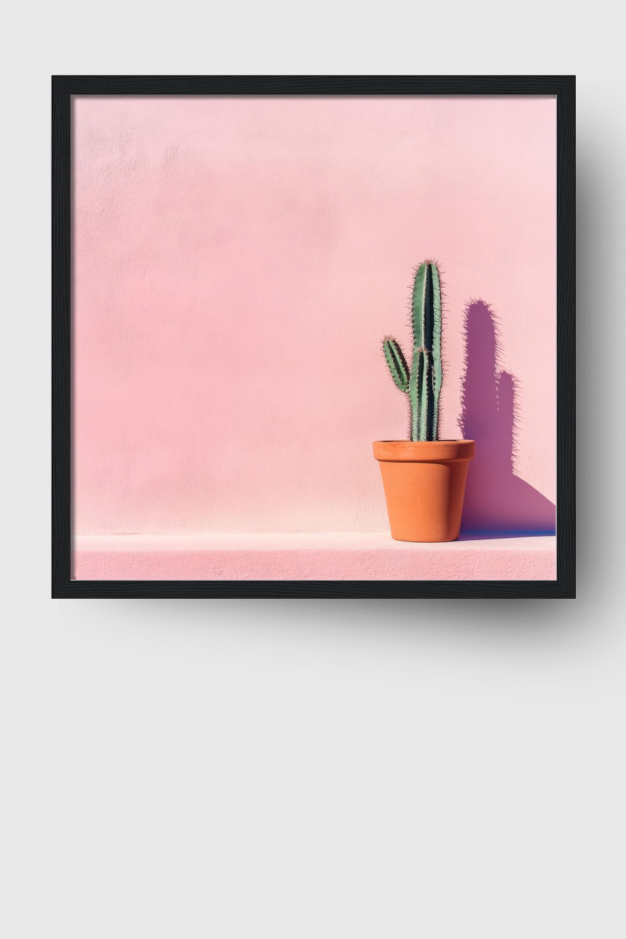 Fotografie Poster Kaktus minimalistisch grün rosa
