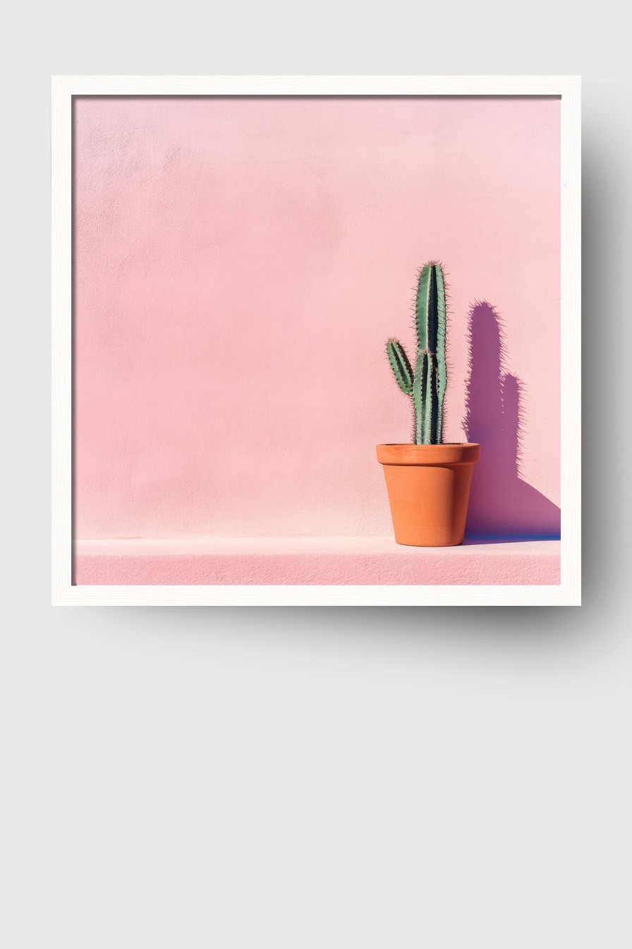 Fotografie Poster Kaktus minimalistisch grün rosa
