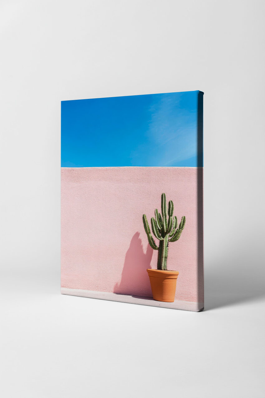 Fotografie Poster Kaktus minimalistisch grün rosa