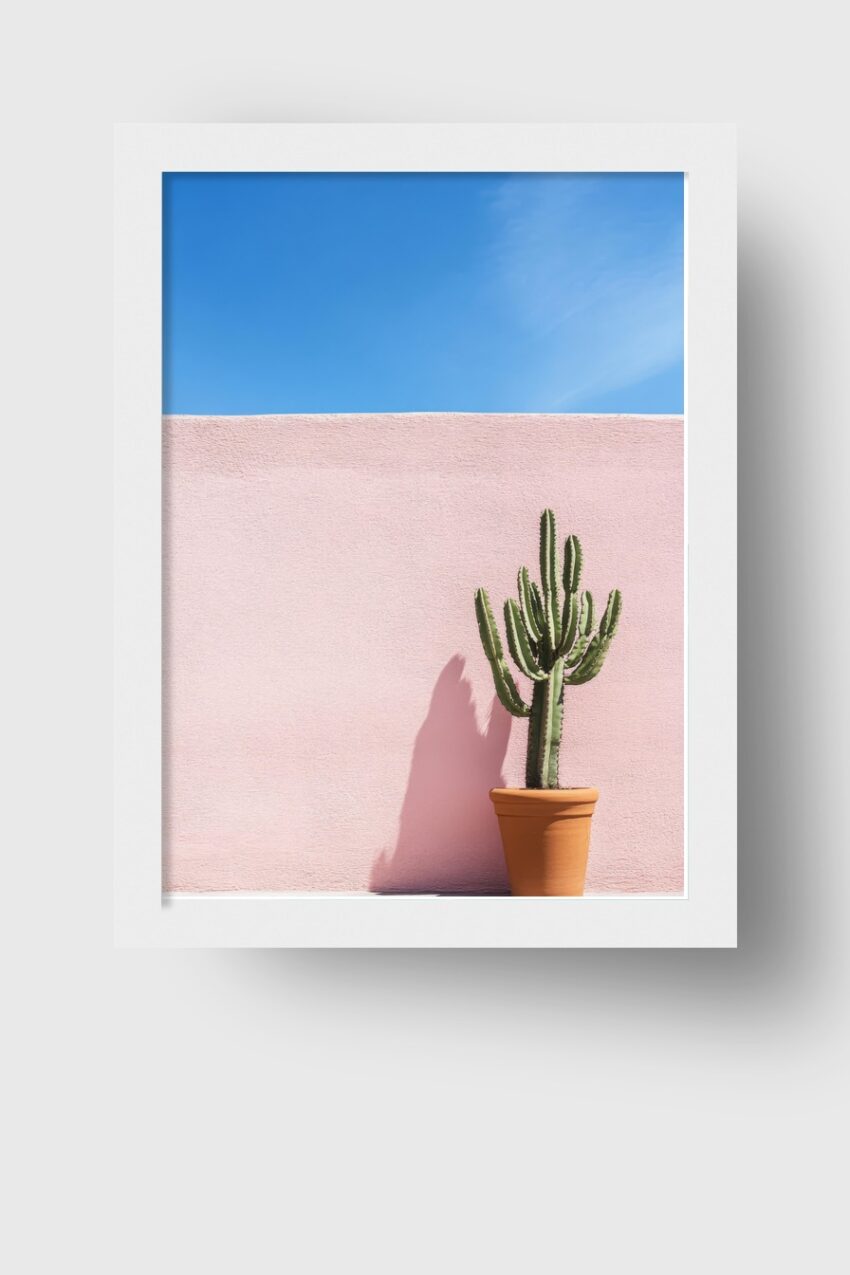 Fotografie Poster Kaktus minimalistisch grün rosa