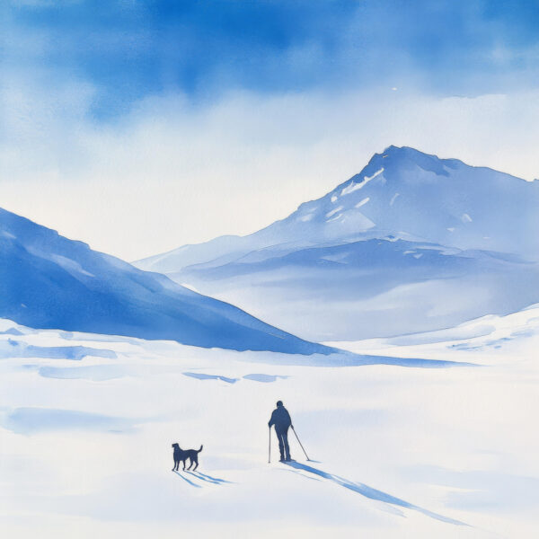 Skifahrer Hund Schatten Poster