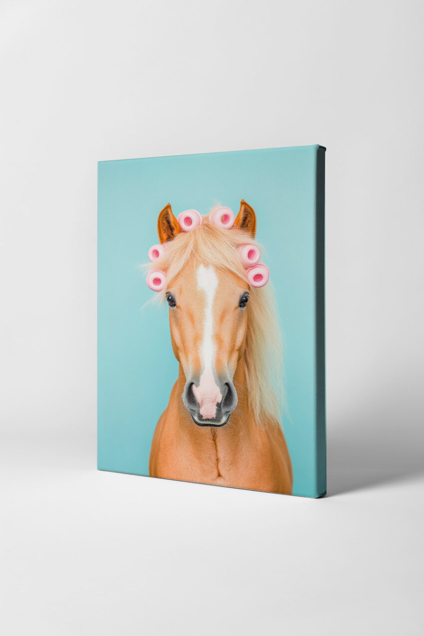 Fotografie Poster Pferd frontal rosa Lockenwickler blau