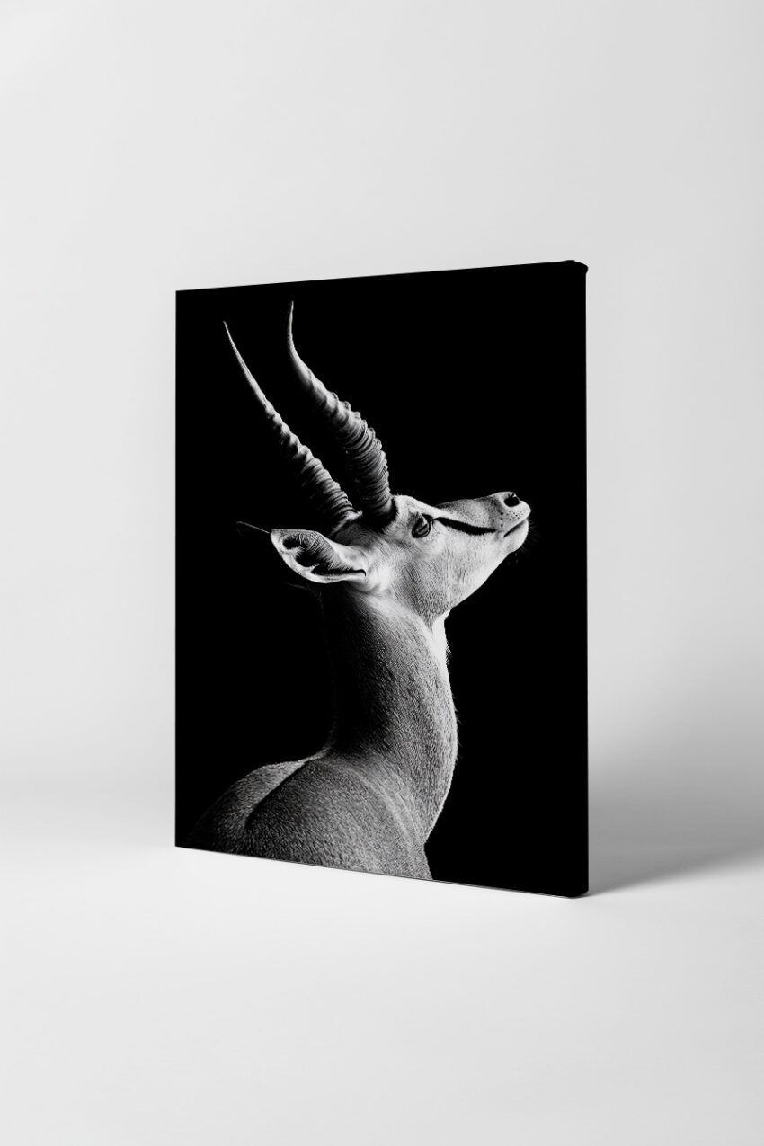 Schwarzweiß Poster mit Antilopenkopf im Profil vor schwarzem Hintergrund, feine Details am Geweih und Fell