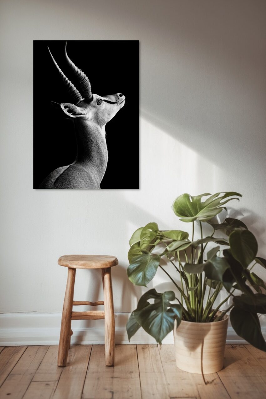 Schwarzweiß Poster mit Antilopenkopf im Profil vor schwarzem Hintergrund, feine Details am Geweih und Fell