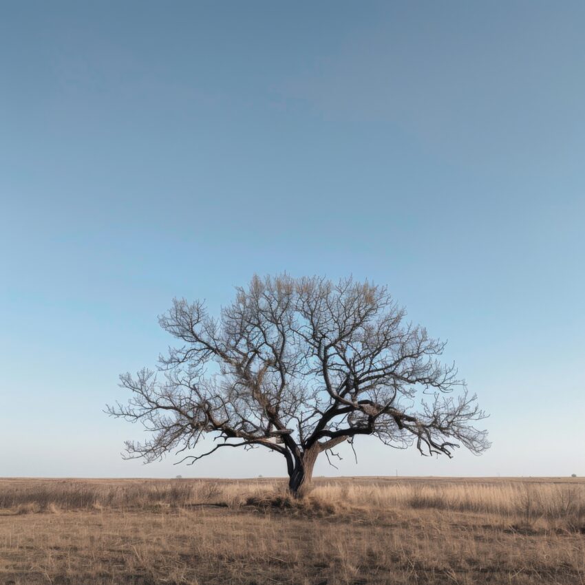 Poster mit kahlem Baum auf weiter trockener Landschaft unter klarem Himmel, ruhige Naturfotografie in gedeckten Farben
