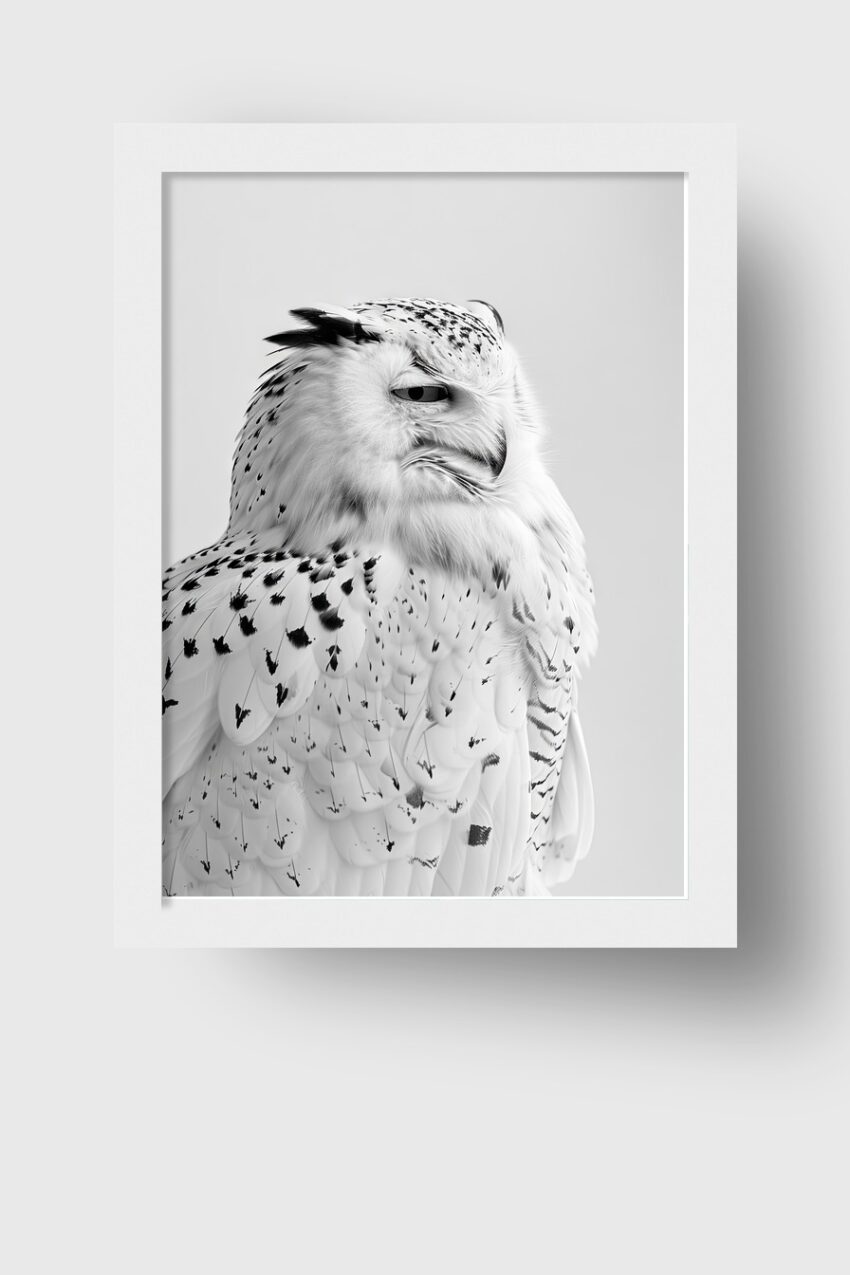 Schneeeule Poster in schwarz-weiß Nahaufnahme, detailreicher Tierportrait Kunstdruck, ruhige Natürlichkeit