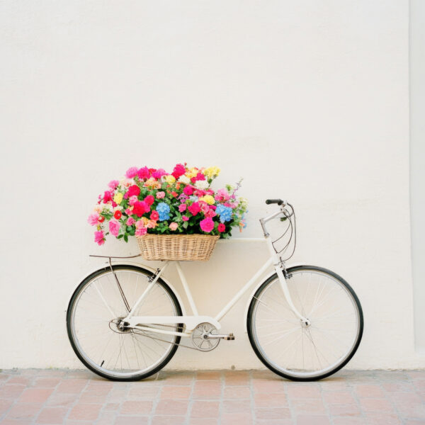 Fahrrad Blume Korb Leinwandbild