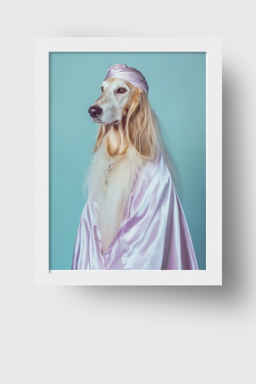 Fotografie Poster Hund Porträt elegant blau