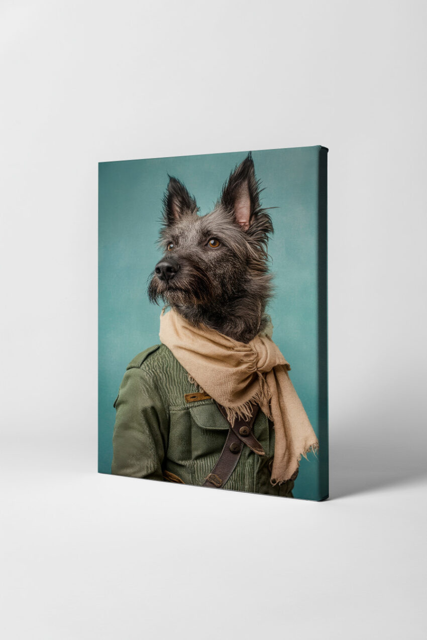 Fotografie Poster Hund Militärmantel beige braun