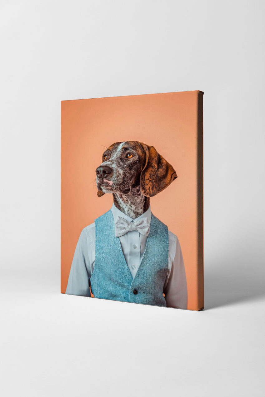 Fotografie Poster Hund mit Fliege und Weste braun weiß elegant