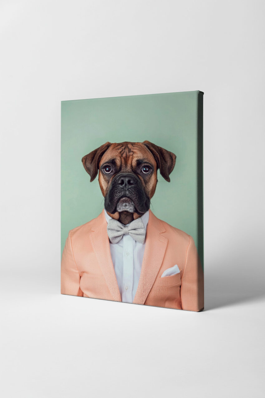 Fotografie Poster Hund im Anzug braun grau