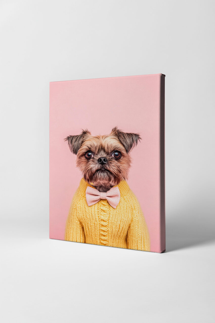 Fotografie Poster Hund Pulli Fliege gelb rosa