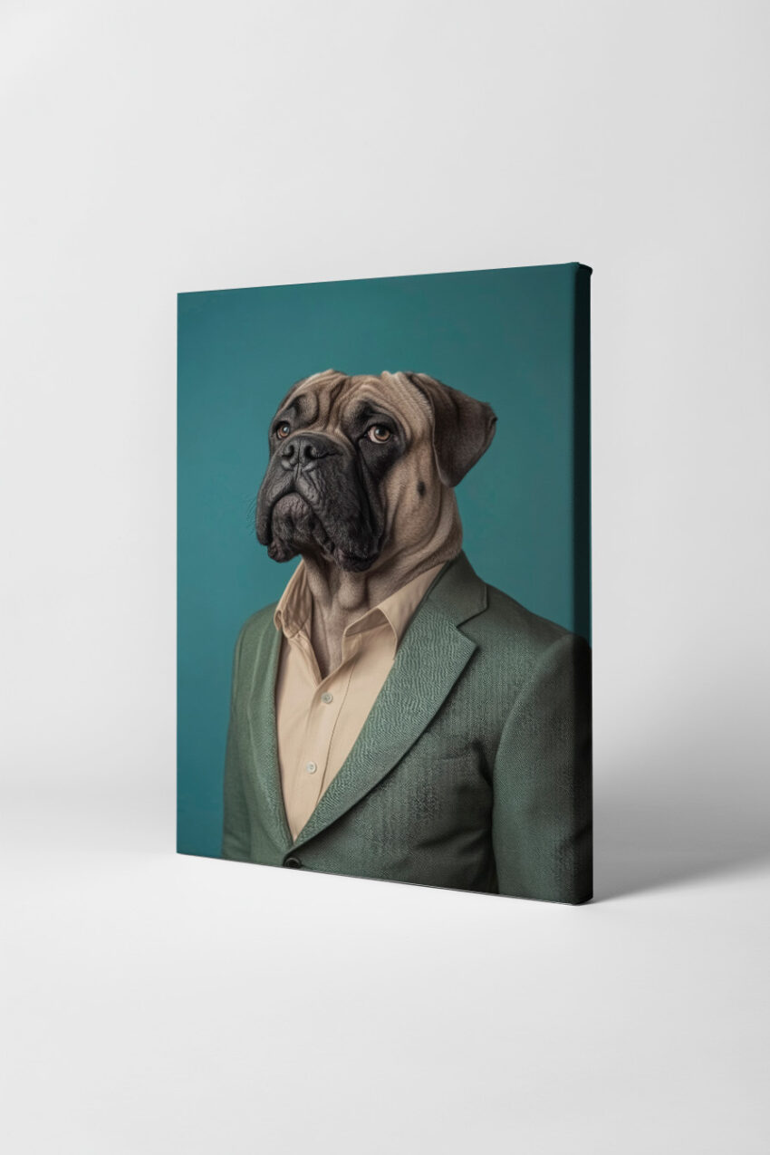 Fotografie Poster Bullmastiff Figur Hemd Jackett grau-blau
