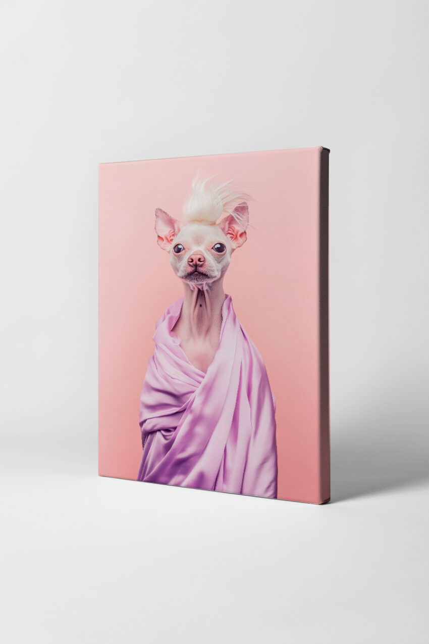 Fotografie Poster Chihuahua zart weiß lila