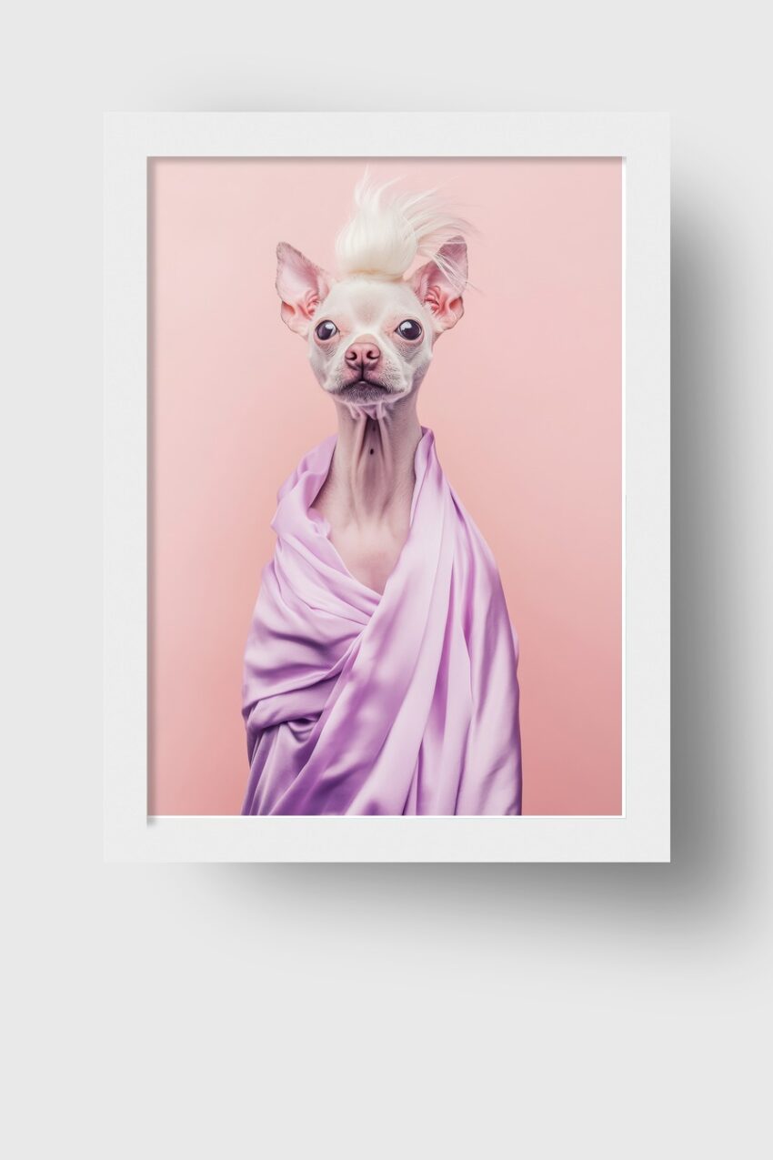 Fotografie Poster Chihuahua zart weiß lila