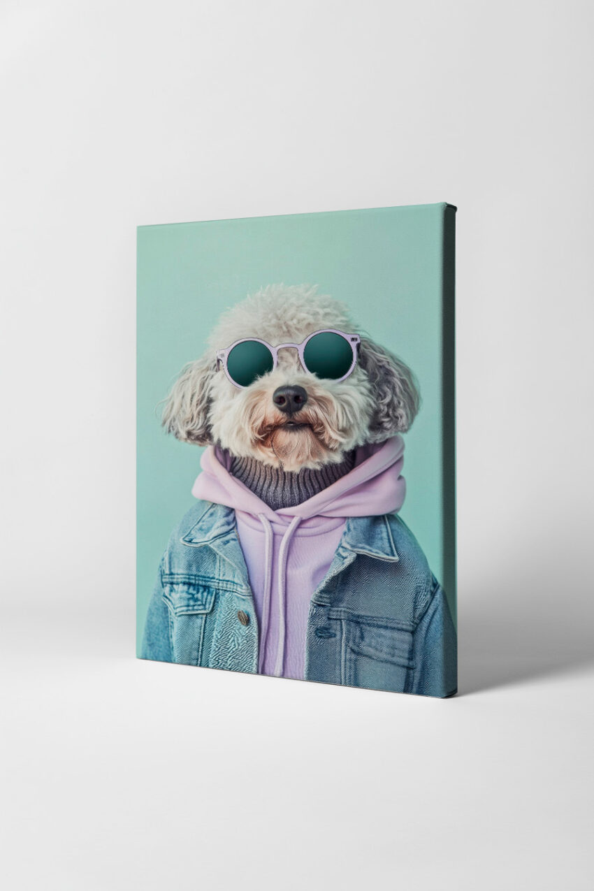 Fotografie Poster Hund Sonnenbrille Hoodie urban blau lila