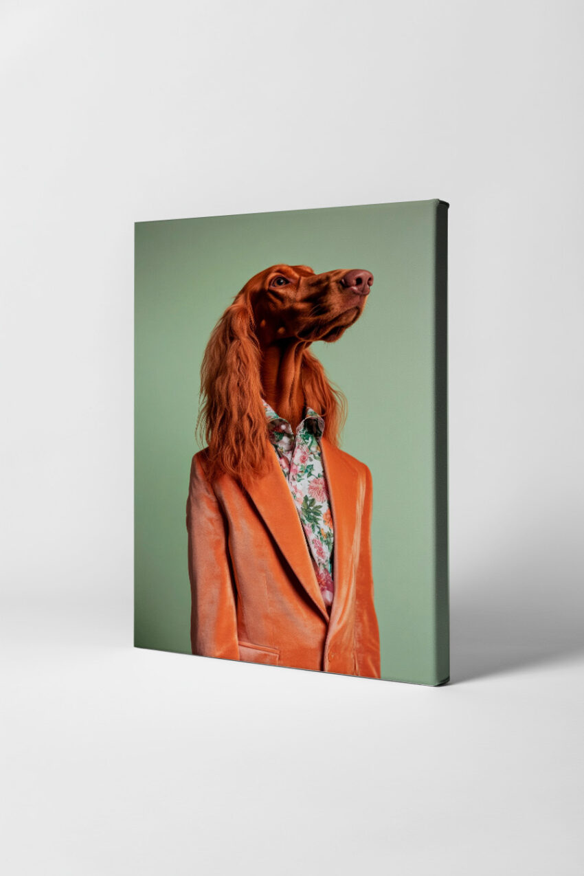 Fotografie Poster Setter Hund orange Jackett floral Hemd