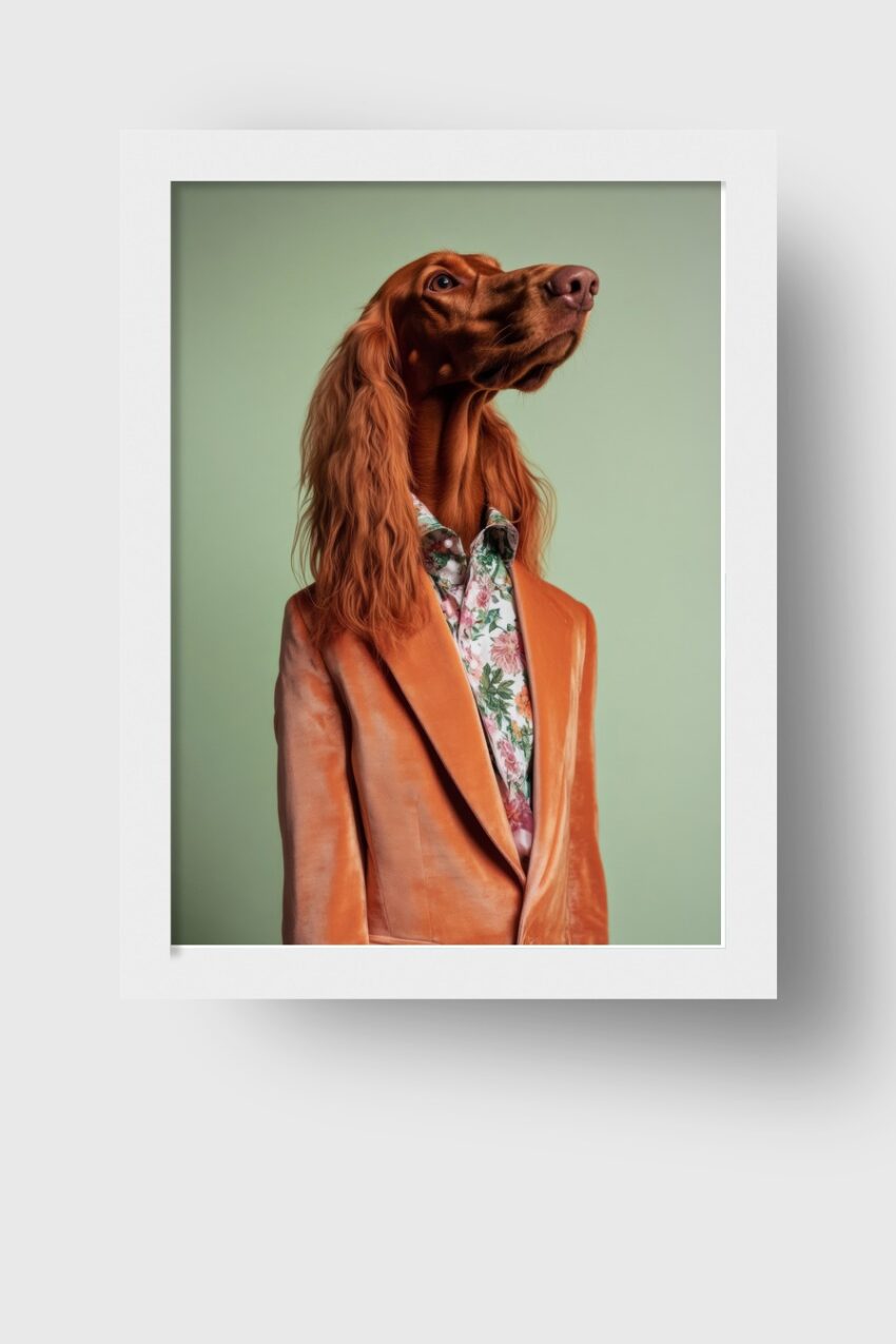 Fotografie Poster Setter Hund orange Jackett floral Hemd