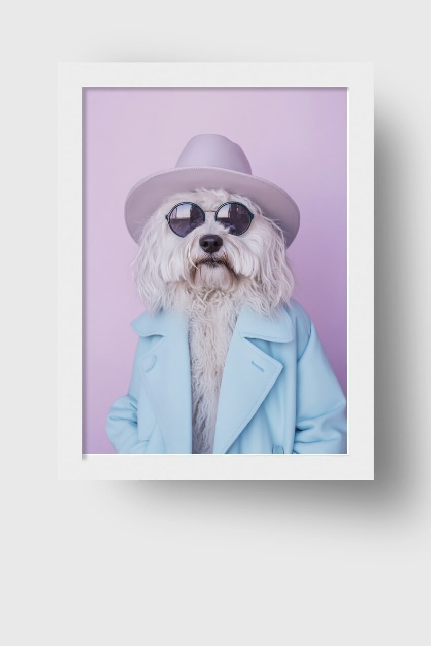 Fotografie Poster Hund Sonnenbrille Hut Mantel weiß