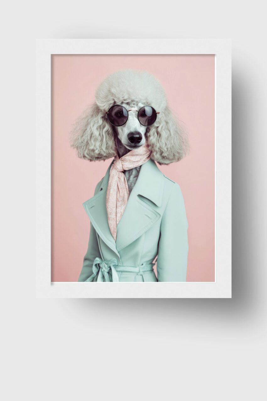 Fotografie Poster Pudel Mantel Schal elegant hellblau rosa