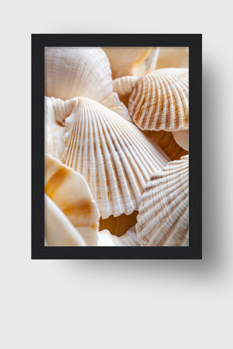 Fotografie Poster Muschel Detail beige weiß