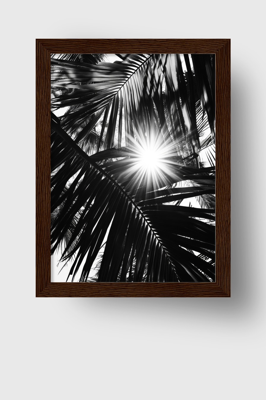 Fotografie Poster Palmenlicht schwarz-weiß stark kontrastreich