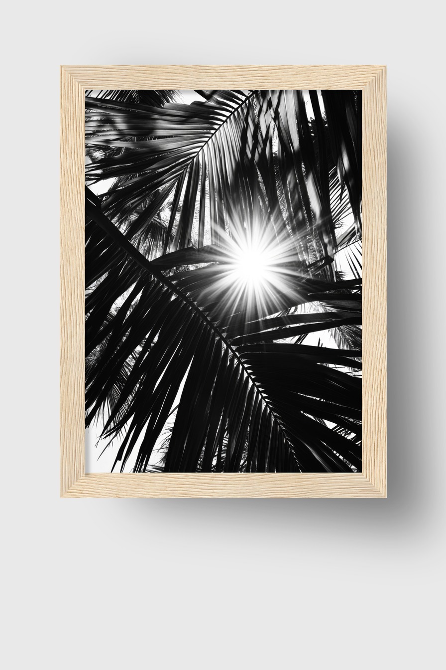 Fotografie Poster Palmenlicht schwarz-weiß stark kontrastreich