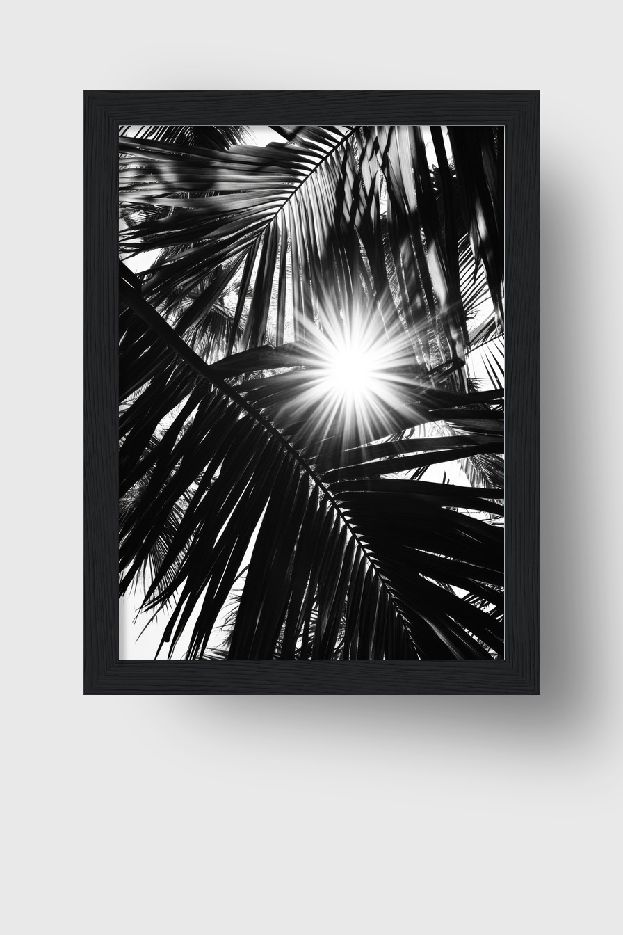 Fotografie Poster Palmenlicht schwarz-weiß stark kontrastreich