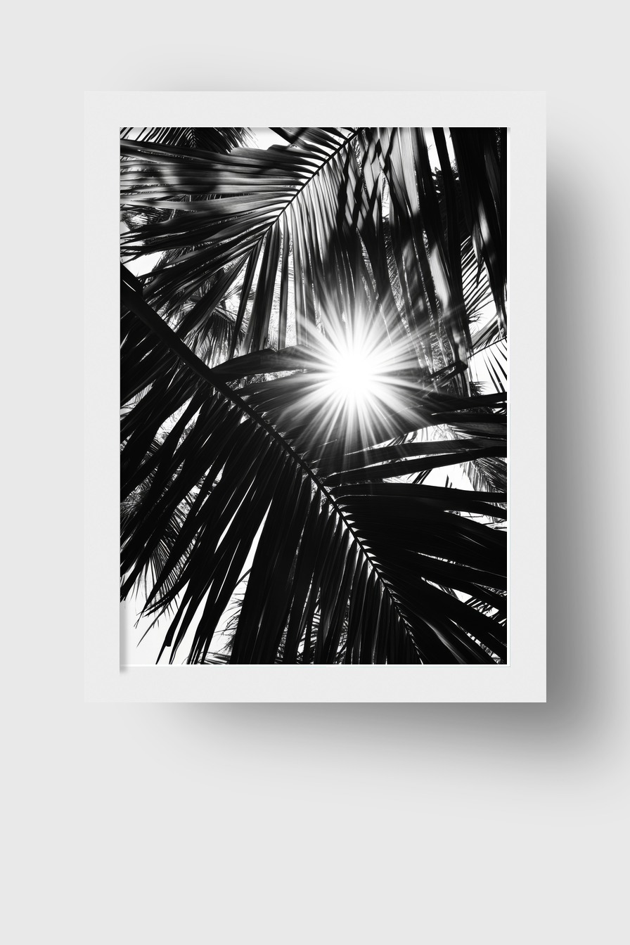 Fotografie Poster Palmenlicht schwarz-weiß stark kontrastreich