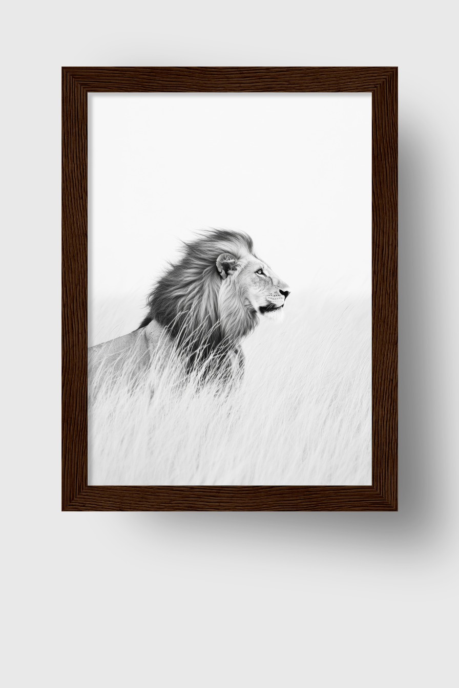 Fotografie Poster Löwe im Gras schwarz-weiß minimalistisch