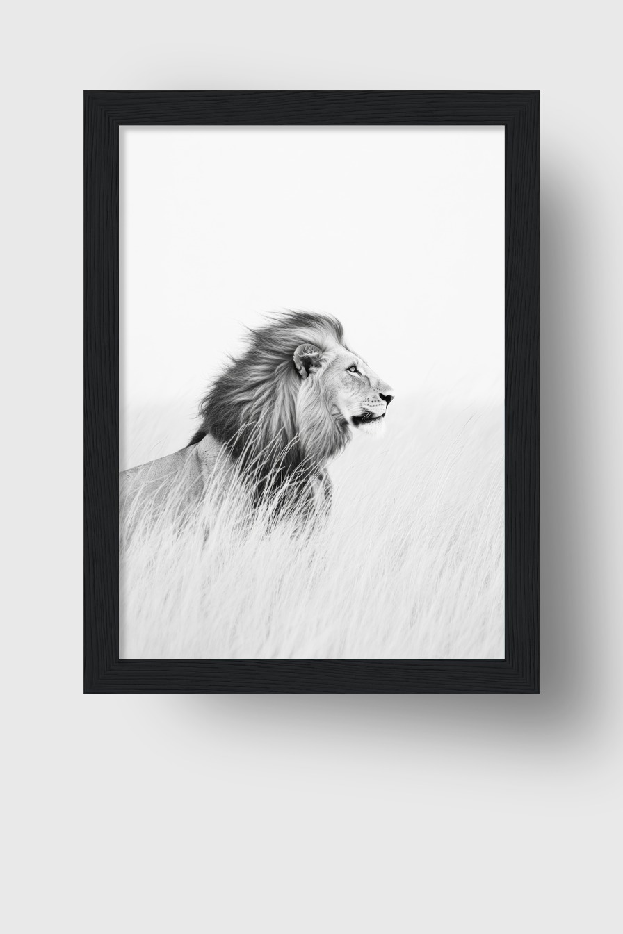 Fotografie Poster Löwe im Gras schwarz-weiß minimalistisch