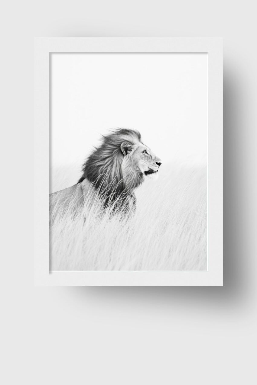 Fotografie Poster Löwe im Gras schwarz-weiß minimalistisch